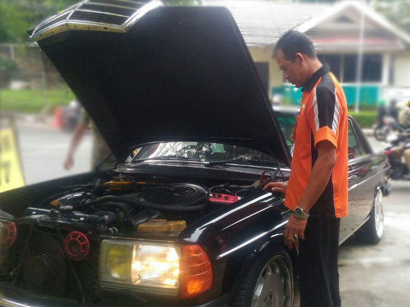 irin dan mercy tiger